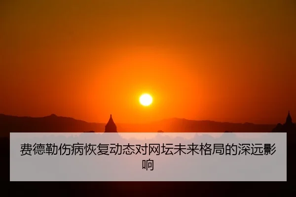 费德勒伤病恢复动态对网坛未来格局的深远影响