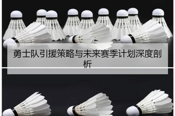 勇士队引援策略与未来赛季计划深度剖析